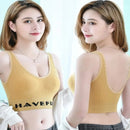 Top Deportivo Sin Costuras para Mujer en Colores Varios