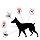 COLLAR MASCOTAS ANTIPULGAS