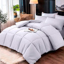 Edredón Bicolor Premium en Microfibra para Confort Total