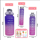 Trío Motivacional: Termos Botellas de Hidratación 2L, 1L y 330ml