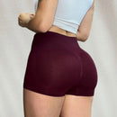 Combo 6 Panties Moldeadores Levantacola Talla L-XL